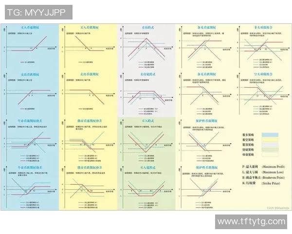 探索钱期权足球的投资策略与风险管理新视角